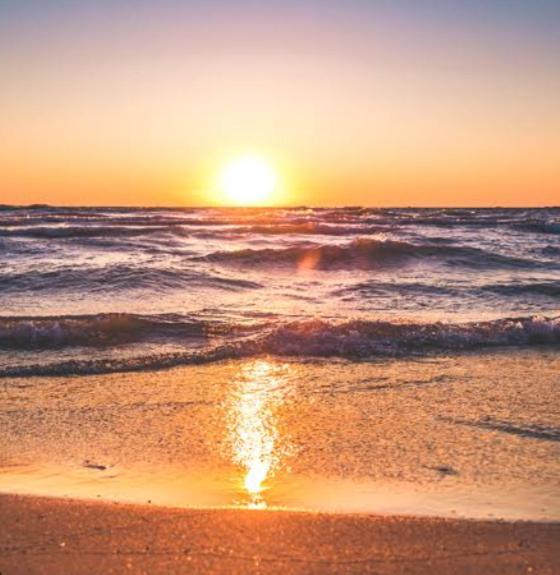 Marari La Rose Beach Homestay Марарикулам Екстериор снимка